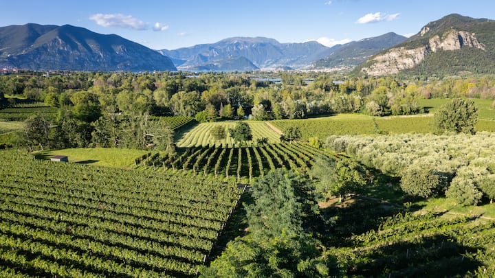 Die lombardische Weinregion Franciacorta produziert edle Schaumweine