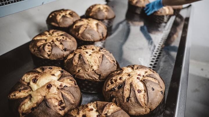 Di Prima Qualità, Panettone, Turin