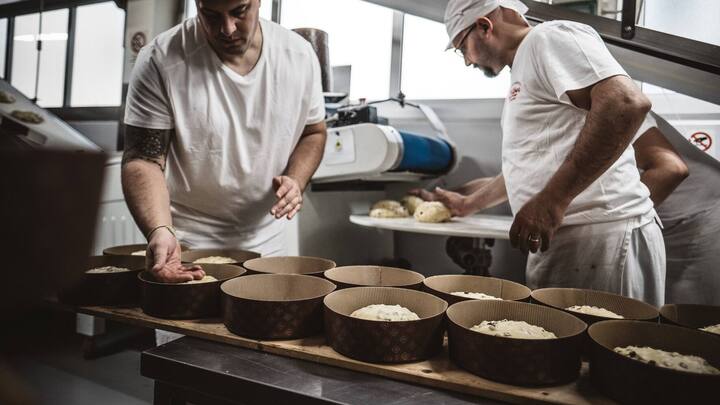 Die Panettone werden von den Bäckermeistern in die Form gelegt.