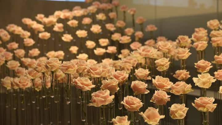 bluemli-baselworld.jpg