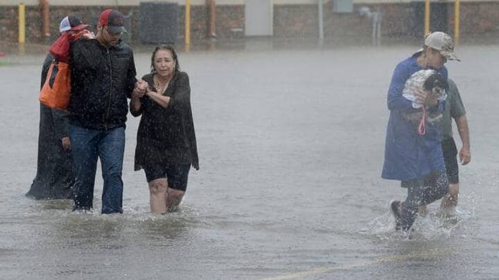 harvey_01.jpg