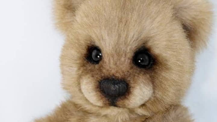 04.teddy_bear_thepeachpeddler.jpg