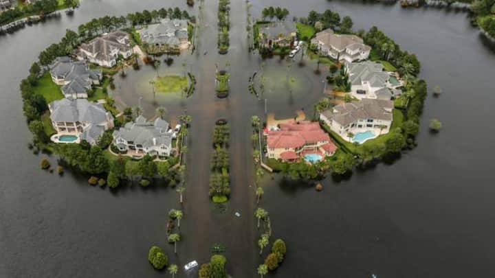 harvey_08.jpg