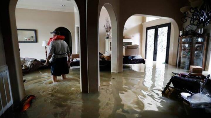 harvey_03.jpg
