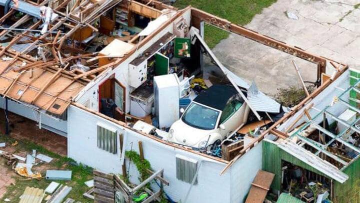 harvey_07.jpg