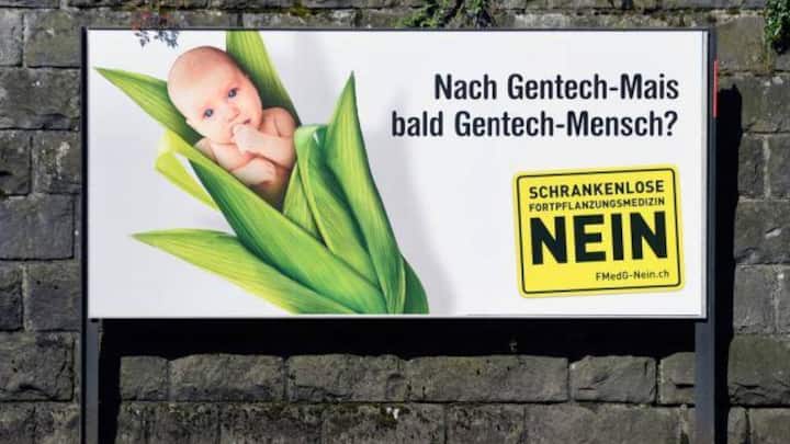 abstimmung_6.jpg