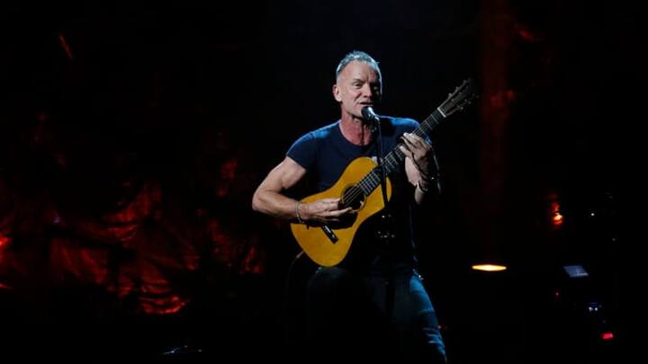 sting_.jpg