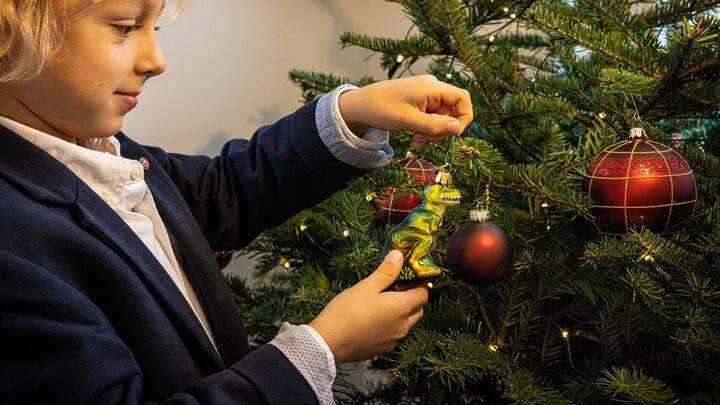 Kind hält Weihnachtsbaumschmuck in Dinosaurierform in den Händen.