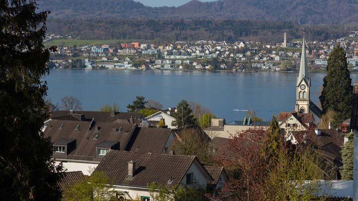 Blick auf den Zürichsee