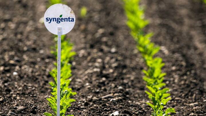 syngenta_1.jpg