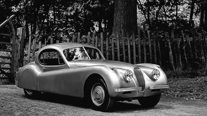 jaguar-04.jpg