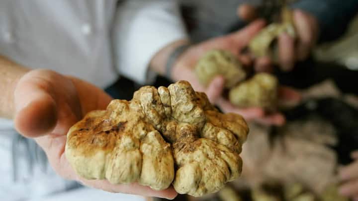 weisser-truffel.jpg