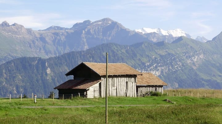 sonnenanbeter-7.jpg