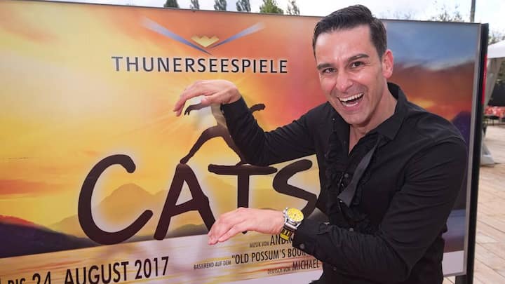 cats2017_182.jpg