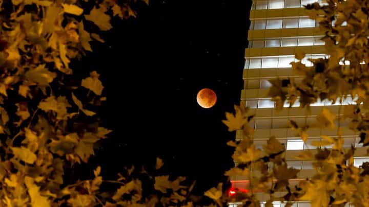 mond_schweiz.jpg