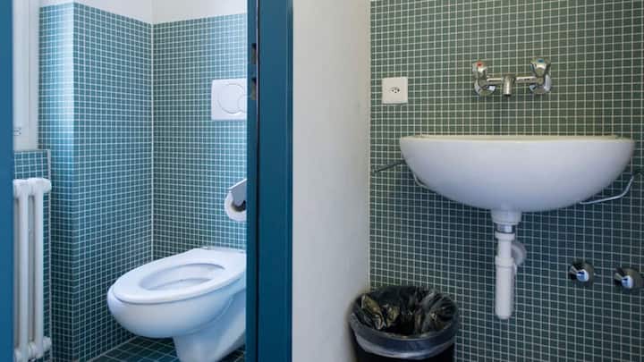 toilette.jpg