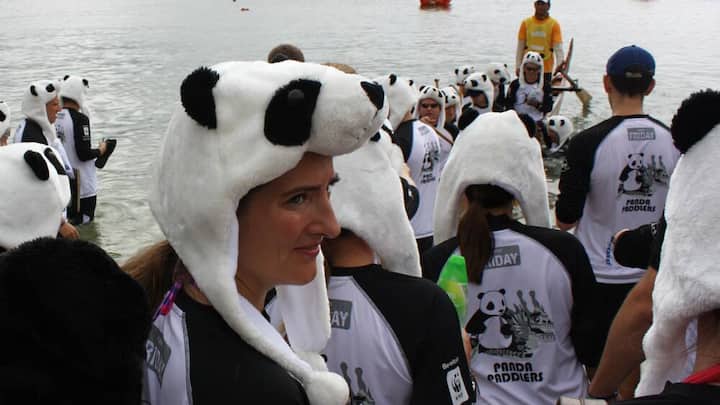 wwf.jpg