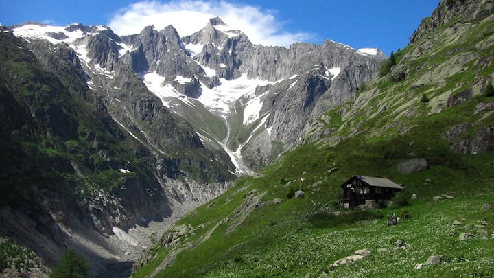 sonnenanbeter-8.jpg