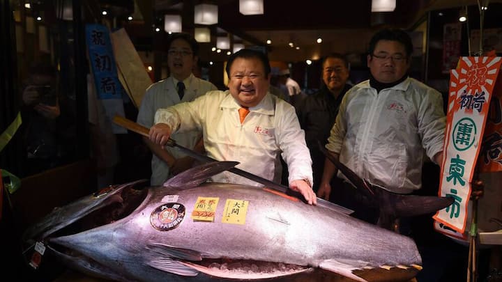 japan_thunfisch.jpg