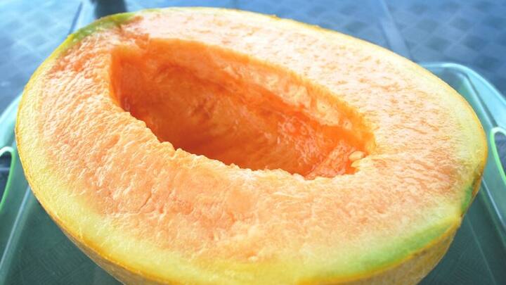 yubari-melone.jpg