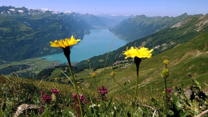 biga-badeseen-schweiz-3.jpg