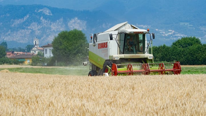 Landwirtschaft