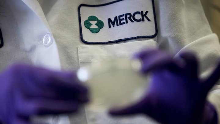 merck.jpg