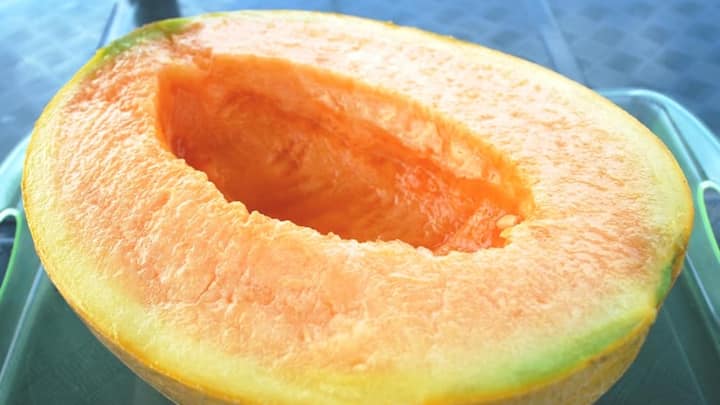 yubari-melone.jpg