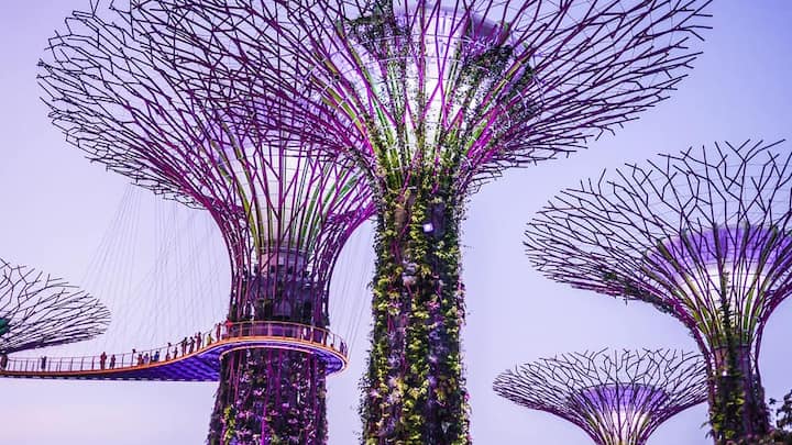 11_singapur.jpg