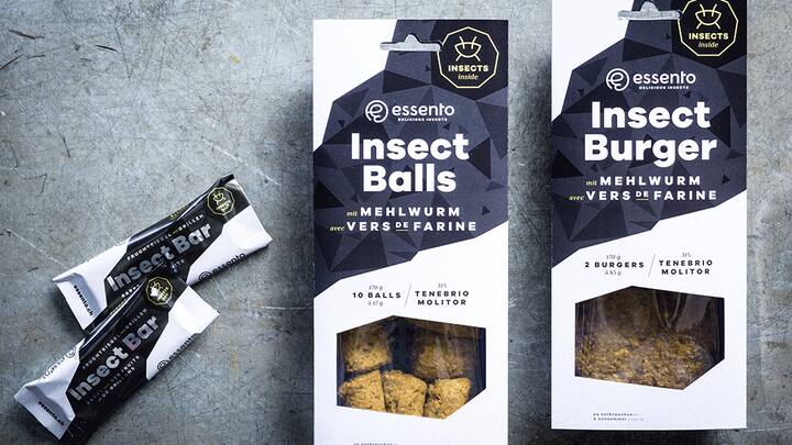 Insekten bei Coop