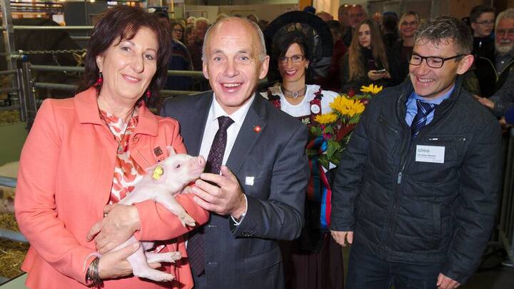 olma2016_348.jpg