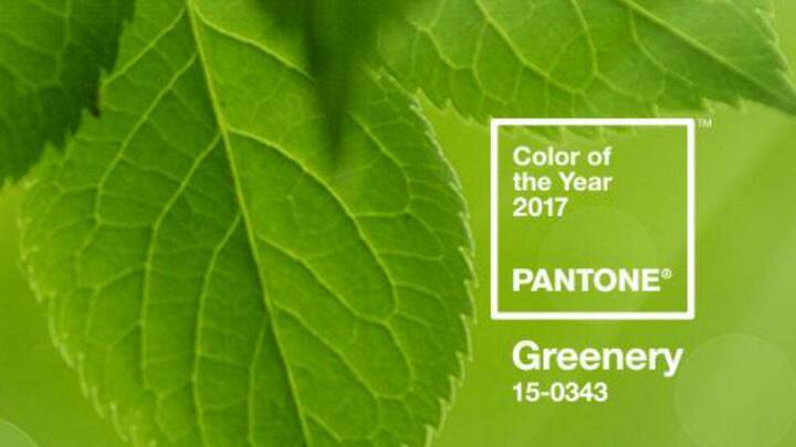 pantone1.jpg