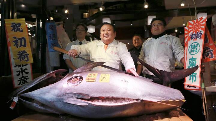 thunfisch-auktion.jpg