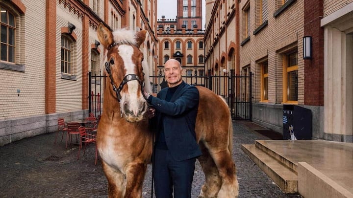 file84j51jxll1310pix1i3a