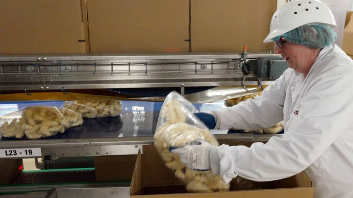 An employee of Aryzta Bakeries Deutschland GmbH  packs pre-baked croissants in Eisleben, Germany, 12 December 2016. The Eisleben site is the largest site and the German headquarters of the Swiss company. Around 1,800 people are employed by the company that produced frozen baked goods for the retail sector. Photo: Peter Endig/dpa-Zentralbild/ZB | usage worldwide (KEYSTONE/DPA/Peter Endig)