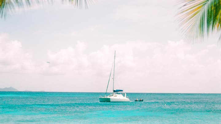 <p>Weisser Sand, ruhige Brandung – Mustique verbindet karibische Wildheit mit kultivierter Gelassenheit.</p>