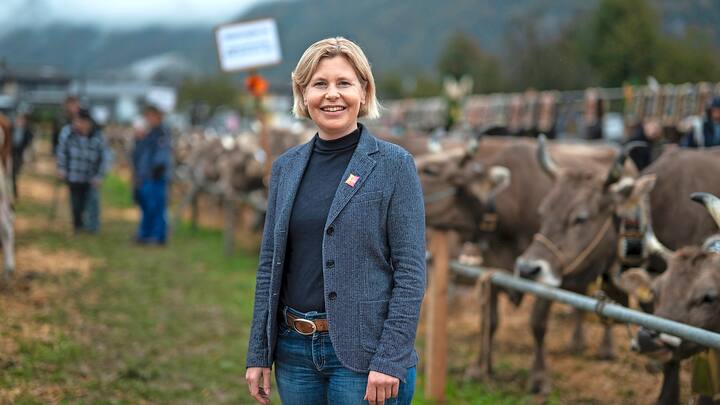Die SVP-Nationalraetin Esther Friedli posiert fuer ein Portrait mit Kuehen nach einer Medienkonferenz der St. Galler SVP zu ihrer Kandidatur als Staenderaetin, am Freitag, 14. Oktober 2022, an der Viehschau in Mels. (KEYSTONE/Gian Ehrenzeller)