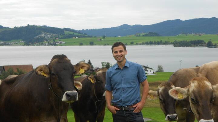 Der Einsiedler Bauer Christian Schönbächler lässt sich inmitten einer Kuhherde fotografieren.