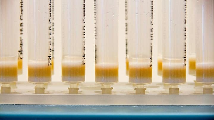 <p>Ampullen in einem Pharma-Labor.</p>