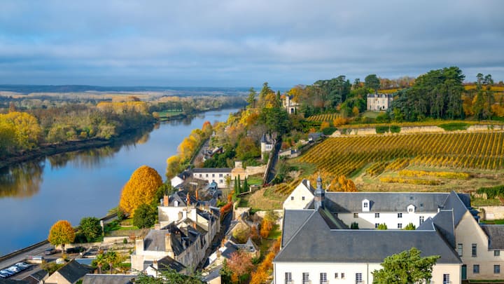 <p>Im Loire-Tal ist die Gegend um das Städtchen Chinon die Hochburg für Cabernet Franc.</p>