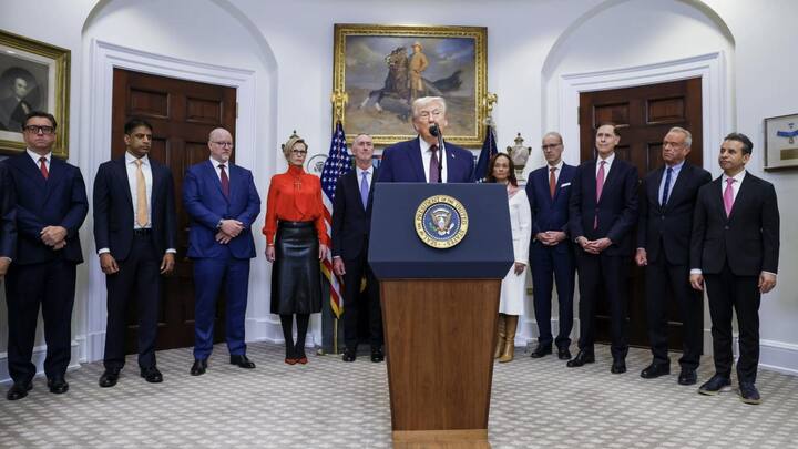 09825019.jpg