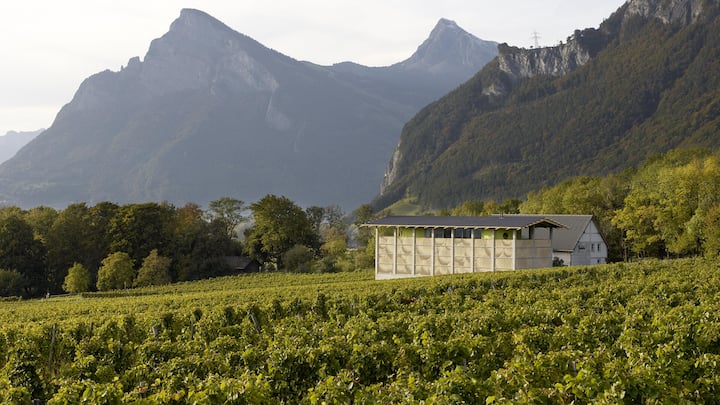 <p>Die von den Architekten Valentin Bearth, Andrea Deplazes und Daniel Ladner gebaute Kelter- und Degustierhalle mit perfekten Bedingungen für den Gärprozess der Trauben.</p>