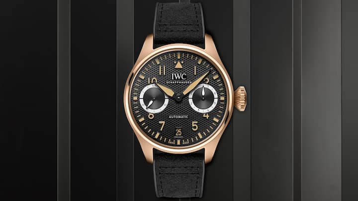 PastedGraphic-1©IWC.png