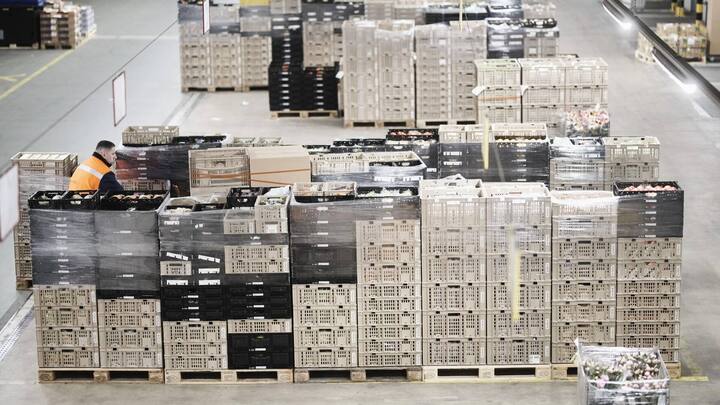 Vom eigenen Logistikzentrum für Frischware bis ...