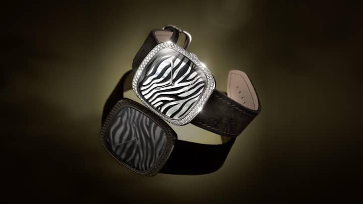 Zebra Lifestyle L.jpg
