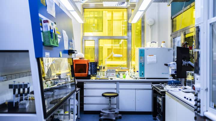 file84xvs3rxv7p5lrc8d0b