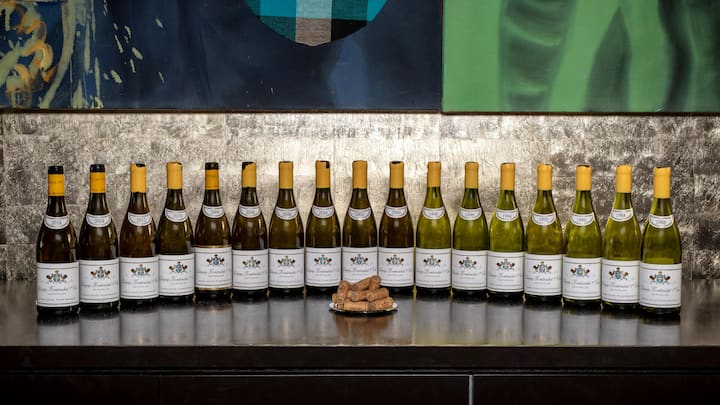 <p>Die 17 verkosteten weissen Burgunderweine.</p>