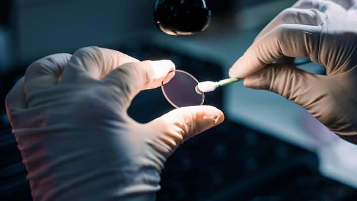 file811shw3ik5xnu6cc87e