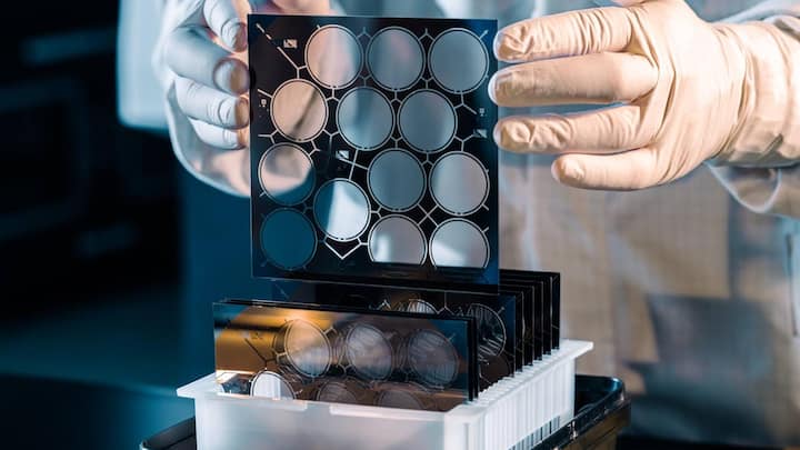 file811shvsvb3kf5y5m7zq