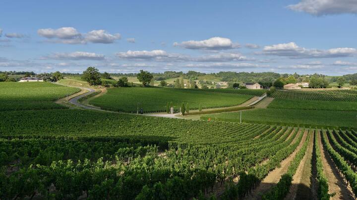 Reben, so weit das Auge reicht: Wer hier einkehrt, ist umgeben von sanften Hügeln und den besten Rebbergen des Saint-Émilion, seit 1999 Welt-UNESCO-Kulturerbe.